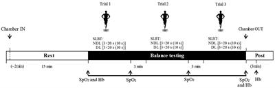 Acute Exposure to Normobaric Hypoxia Impairs Balance Performance in Sub-elite but Not Elite Basketball Players